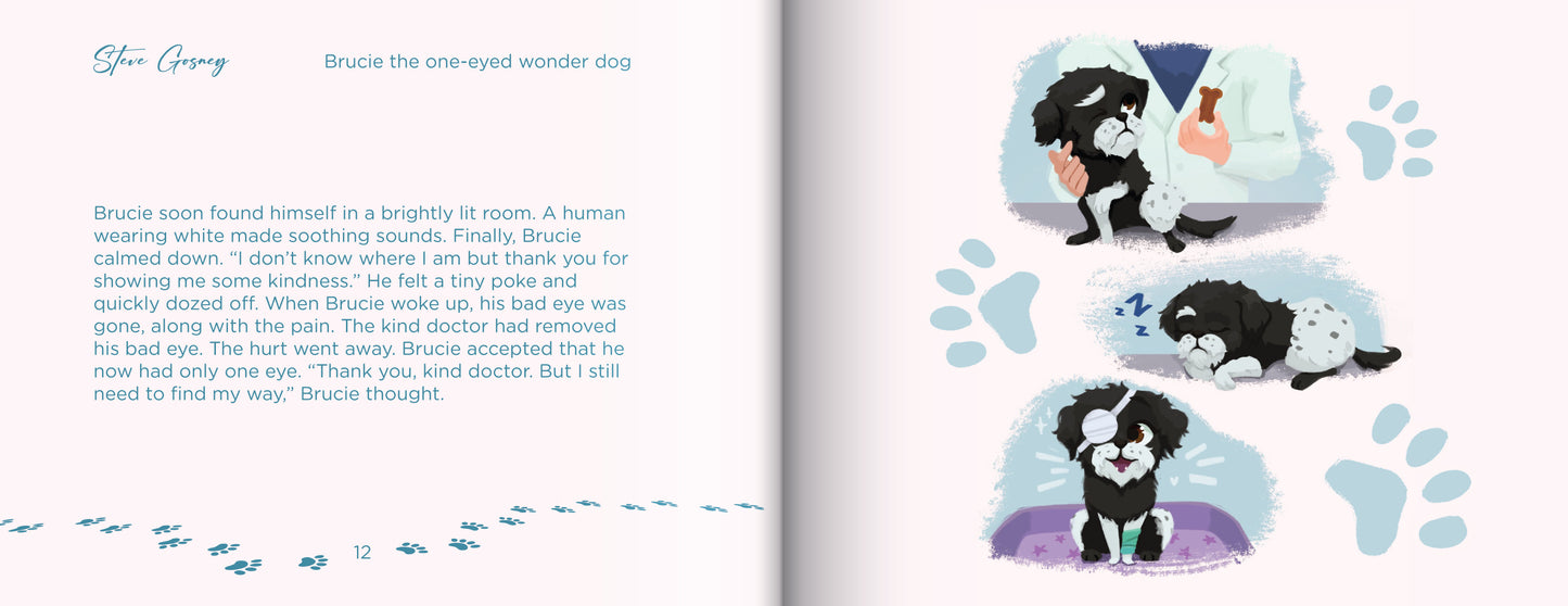 Brucie the One-Eyed Wonder Dog book (Small Hands Edition, full color autographed softcover)