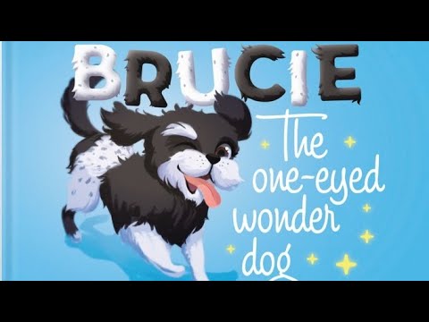 Brucie the One Eyed Wonder Dog book hardcover SteveGosney